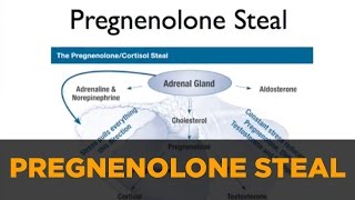 Optimizing Hormones Pregnenolone Steal DHEA amp Cortisol [upl. by Jarrad]