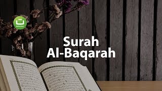 Juz 1 Surah Al Baqarah سورة البقرة  Abu Usamah ᴴᴰ  Tadabbur Daily [upl. by Ynohtnad]