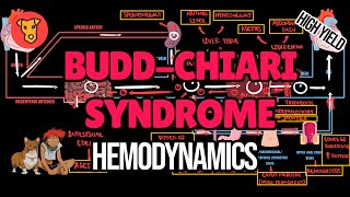 BUDDCHIARI SYNDROME Pathogenesis of clinical symptoms Hemodynamics of Hepatic vein thrombosis [upl. by Edita]