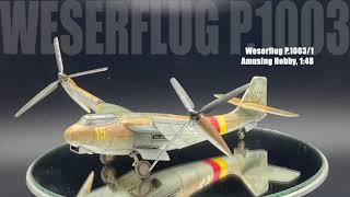 Weserflug P10031 [upl. by Heyman968]