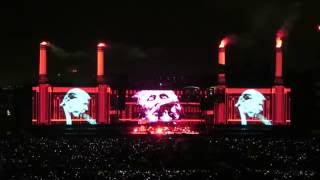 Pigs Three Different Ones  Roger Waters Live Mexico 2016  Foro Sol Sept 29 [upl. by Meelak]