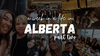 Alberta VLOG  part two [upl. by Nisa]