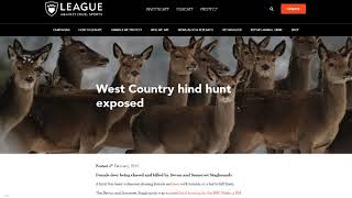 Deer Hunting exposed by BBC Radio 4 2019  Devon amp Somerset Stag Hounds [upl. by Roderic75]