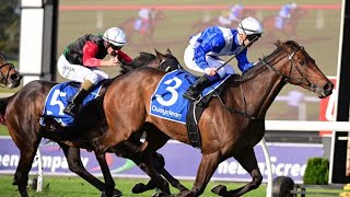 Caulfield  2023 Underwood Stakes RunnerByRunner Preview [upl. by Beatriz]