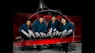 Grupo mandingo sus mejores exitos [upl. by Ahsyla]