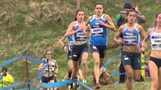 Bupa Great Edinburgh XCountry 2013 Part 2 of 2 [upl. by Alemap721]