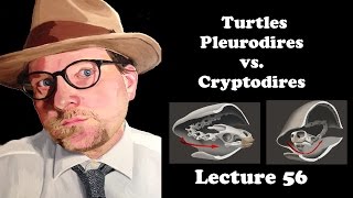 Lecture 56 The Turtles Pleurodires vs Cryptodires [upl. by Reifinnej]