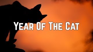 Al Stewart  Year Of The Cat Lyrics [upl. by Niboc]