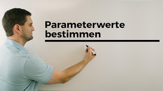 Parameterwerte bestimmen bei Funktionsscharen Analysis  Mathe by Daniel Jung [upl. by Kcirdnekel335]