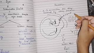 Fluid system of eye Glucoma guyton 50 last part specialsensoryphysiology [upl. by Ramsay]