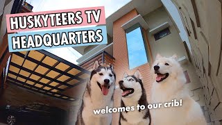 HOUSE TOUR DOG EDITION  HUSKYTEERS TV [upl. by Grunberg]