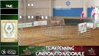 1 TAPPA NAZIONALE TEAM PENNING  ranch sorting [upl. by Nodmac]