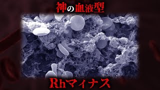 どこから来たのかわからない謎の血液型「Rhマイナス」の正体がヤバすぎる。【 都市伝説 地球外生命体 生物学 】 [upl. by Aticnemrac]