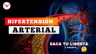 Hipertensión arterial  Resumen Brutal  Dr Manolo Briceño [upl. by Cul675]