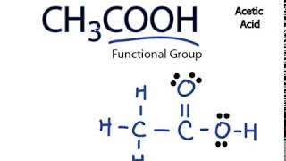 CH3COOH Lewis Structure Acetic acid [upl. by Annatnas]