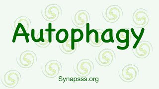 Autophagy definition mechanisms Macroautophagy [upl. by Lleihsad248]