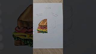 FaberCastell Polychromos VS Caran dAche Luminance ✏️ drawing viral shorts [upl. by Drugge]