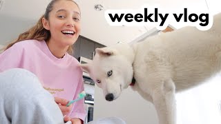 adoption gonewrong storytime  WEEKLY VLOG [upl. by Akiras]