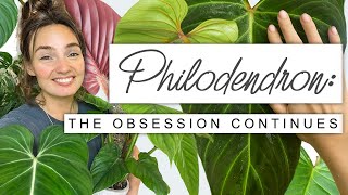 Sorry If You Buy More Plants After This 😬 PHILODENDRON Collection Tour Growth Updates  FUN FACTS 🌱 [upl. by Elison]