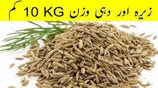 Sufaid Zeera ke Istemal say Wazan kam kare Weight Loss Tip [upl. by Nairot962]