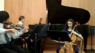 Melodie by A Rubinstein Piano Trio [upl. by Aihsekyw]