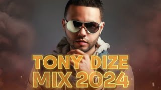 TONY DIZE MIX 2024  REGGAETON VIEJO MIX  REGGAETON CLASICO MIX 2024 [upl. by Retxed469]