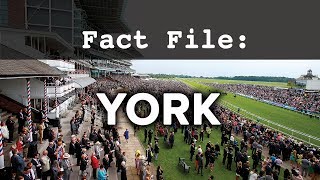 Fact File York Racecourse [upl. by Carrie]