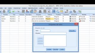 IBM SPSS Tutorial Cómo Ingresar Datos [upl. by Patty]