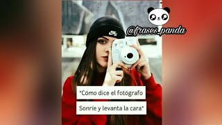 °°🌸🏵LAS MEJORES FRASES PARÁ WHATSAPP O INSTAGRAM 🏵🌸°° 🐼FRASES PANDA🐼 [upl. by Ahsaf]