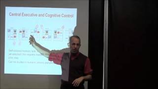 Chapter 9 Working Memory and Cognitive Control [upl. by Akirdna]