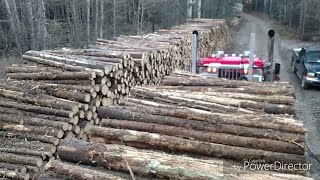 My Best Logging Truck Video [upl. by Chambers394]