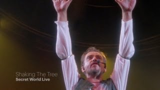 Peter Gabriel  Shaking The Tree Secret World Live HD [upl. by Olotrab]