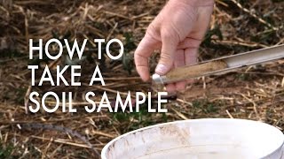 How to Take a Soil Sample [upl. by Llirret]