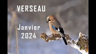 VERSEAU ♒ JANVIER 2024Waouh  Travail argent famille Vos rêves sont actés réalisation en cours [upl. by Sidra]