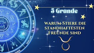 5 Gründe warum Stiere die standhaftesten Freunde sind [upl. by Thadeus]