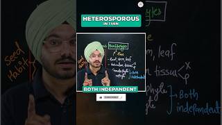 🔴HETEROSPOROUS PTERIDOPHYTES EXAMPLES IN 1 Minute ytshorts shortsfeed neet2024 ytshortsfeature [upl. by Aenat]