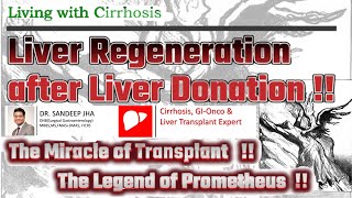 Liver Regeneration after Donor Hepatectomy [upl. by Lulu]