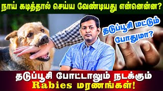 What to do after dog bite when to vaccinate Is vaccination alone enough  Dr Arunkumar [upl. by Skrap472]