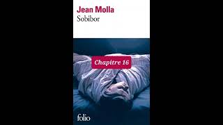 16  Sobibor  livre audio  Chapitre 16  Jean Molla  lecture et résumé [upl. by Slack]