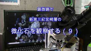 【バーチャル化石採集☆顕微鏡観察】2022317 宮崎層の微化石スライドショー（9） [upl. by Lodnar]