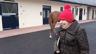 CASTLEHYDE STUD Stallion Trail Saturday 13th January 2024 video 2 [upl. by Mahmud]