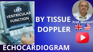 How to Use Spectral Tissue Doppler Better than Eyeballing for LV Systolic Function [upl. by Ardied]