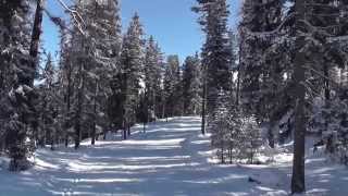 Cross country skiing  Engadin St Moritz Pontresina Samedan [upl. by Pry]