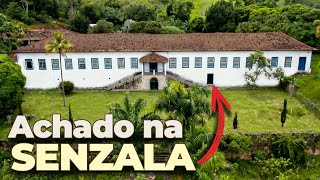 Esse ANTES e DEPOIS vai te impressionar  FAZENDA CONFIANÇA [upl. by Enihsnus176]