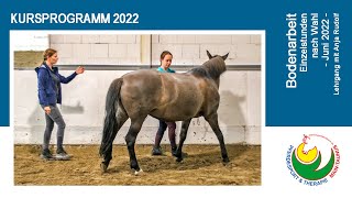 Reiten lernen quotBodenarbeitquot  Einzelstunden mit Anja Rudolf Juni 2022 [upl. by Basso]