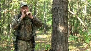 How To Call Deer In Early Season Eddie Salter [upl. by Halik]