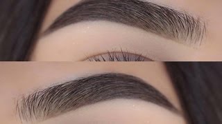 MY BROW ROUTINE  Krimd [upl. by Comstock926]