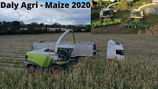 Daly Agri  Maize 2020 [upl. by Axia]