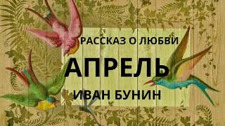 АПРЕЛЬ ИВАН БУНИН Слушаем рассказ о любви [upl. by Nuli]