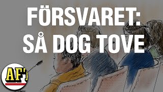 Försvarsadvokatens nya förklaring under rättegången Så dog Tove [upl. by Debor]